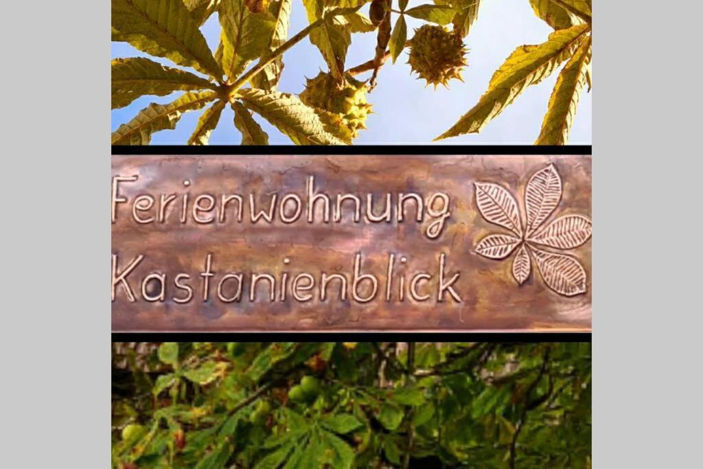 Apartamento Kastanienblick Sankt Andreasberg Exterior foto