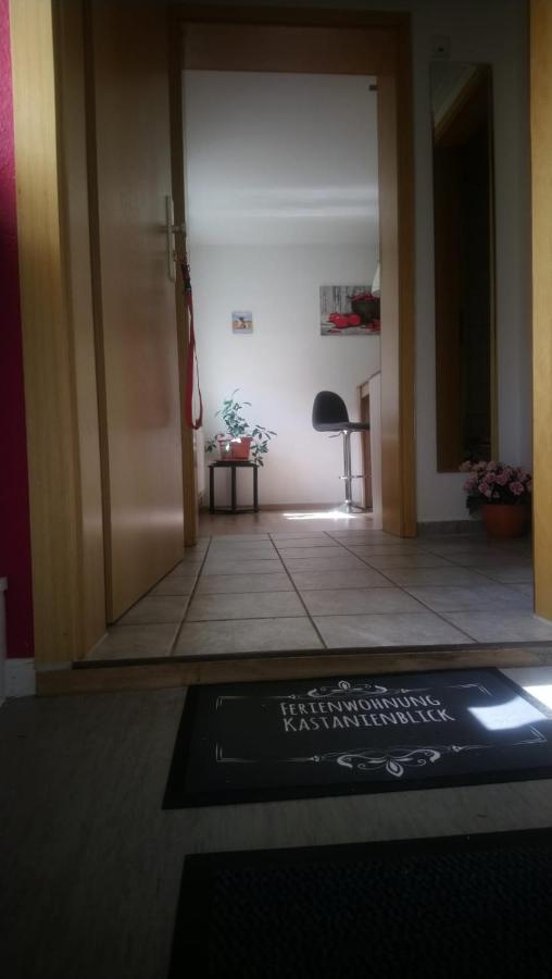 Apartamento Kastanienblick Sankt Andreasberg Exterior foto